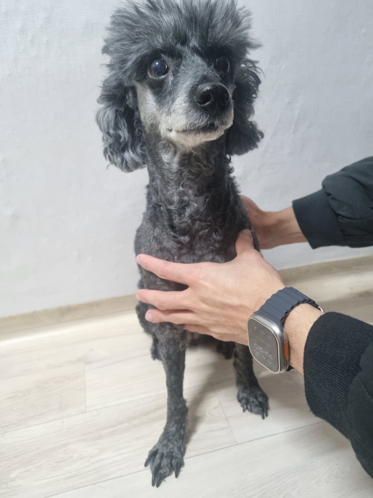 군위종합동물병원_427514202400134